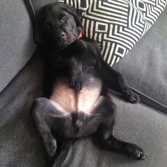 Dia küçükken her yerde uyuyakalıyordu :)